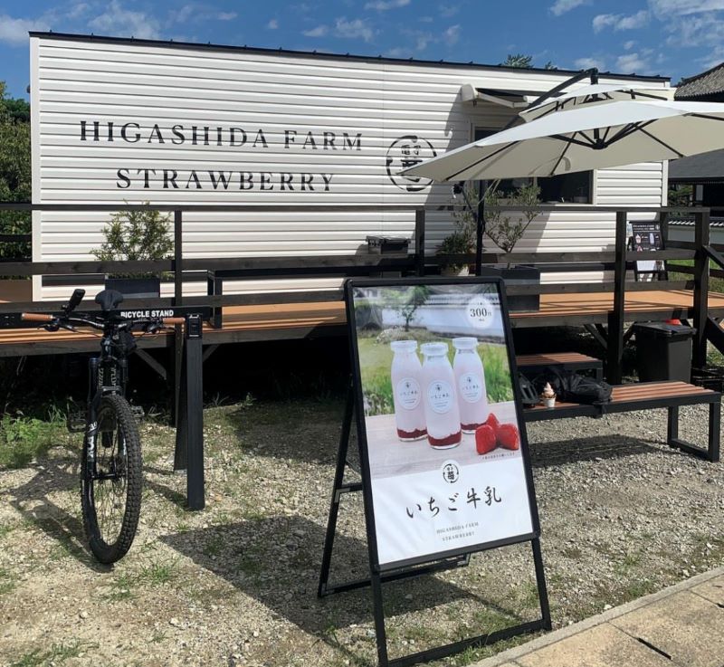 林田苺 ふるさと納税】 【2026年2月より発送開始】 品種おまかせ いちご